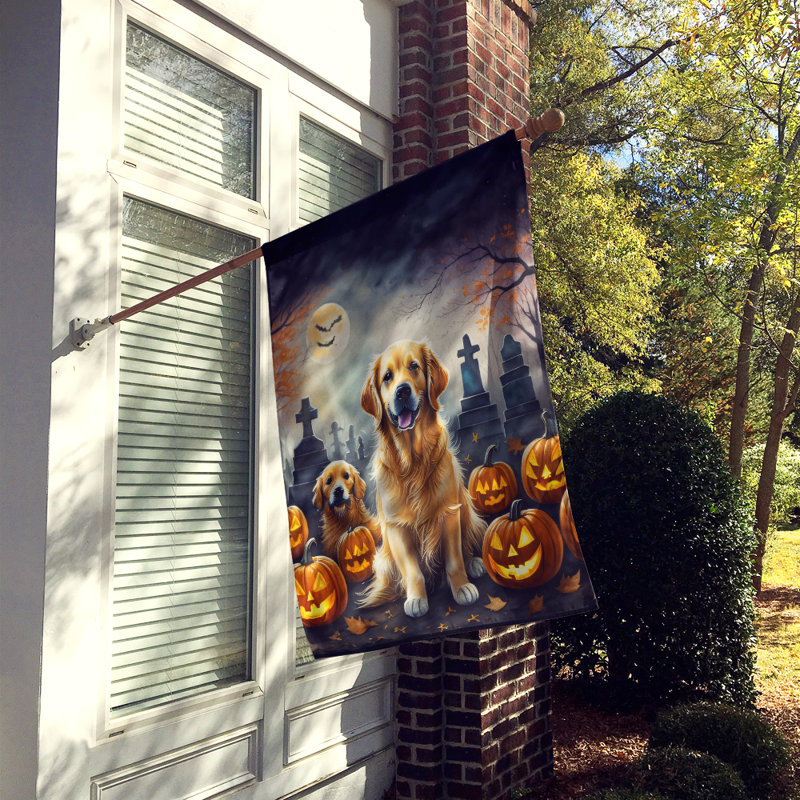 Double Sided 40'' H x 28'' W Polyester Halloween House Flag
