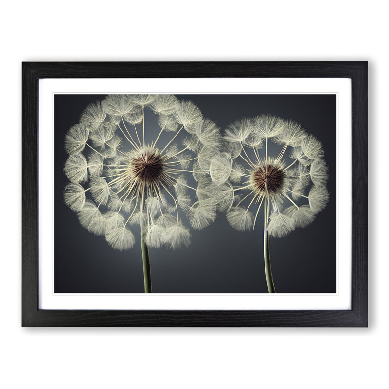 Creative Dandelion Flowers - Framed Print, Black, 25cm H x 34cm W x 2cm D