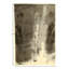Rectangle Rectangle 5'11'' X 8'11'' Area Rug