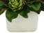 Magnolia Holiday Floral Arrangement