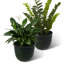 15.25"D Set Of 2 Honeycomb Textured Green Faux Ceramic Pot Plastic Planter-886427962