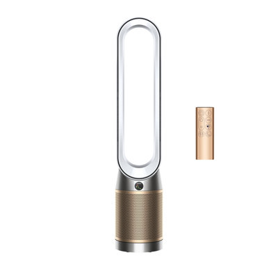 Dyson Purifier Cool PC2 De-NOx?