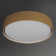 Poppy LED Flush Mount