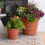 Pot à fleurs en résine-105896842-105867781