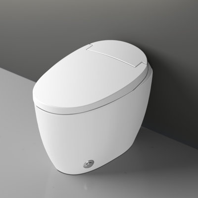 T16 Uinkoo Smart Toilet - Basic function white smart toilet, Foot  Kick, Auto Open/Close, ADA Compliant Comfort Height Toilet, Auto Flush System, Heated Seat, Night Light