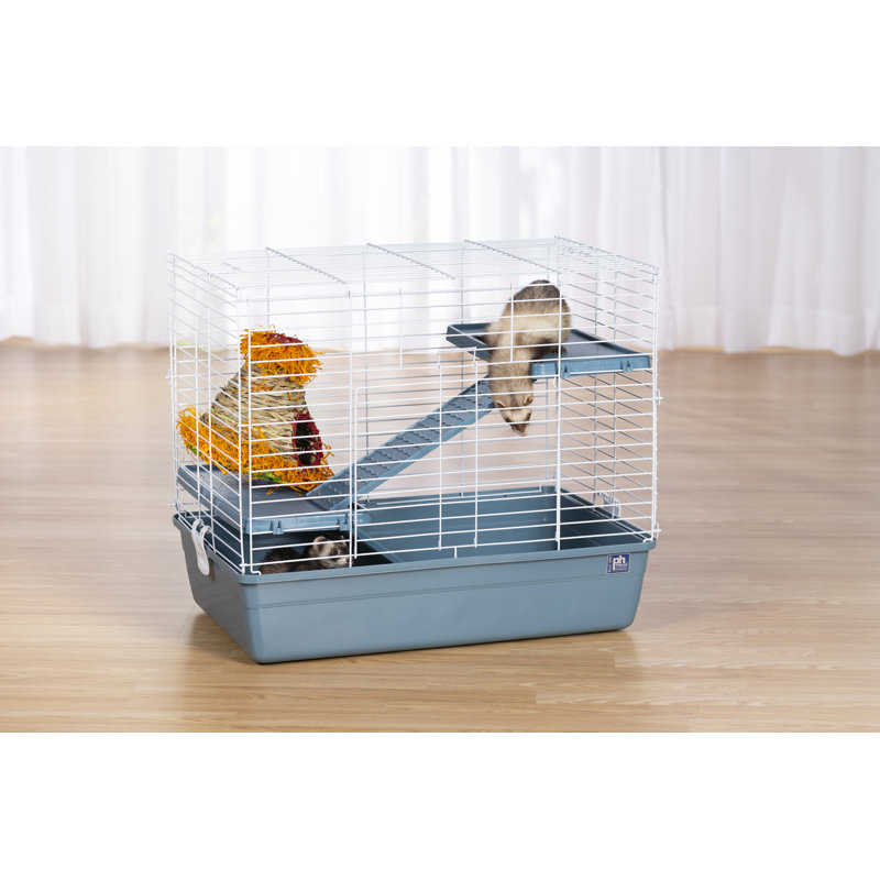Cage de voyage Chenard pour furets adultes, Bleu