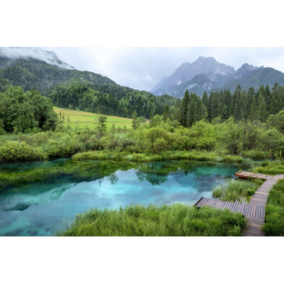 Zelenci Pond - Photographie sur toile tendue
