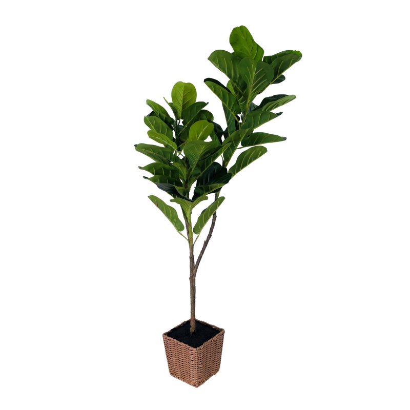 Faux Fiddle Leaf Fig Plant in Basket, 48" H x 24" W x 18" D