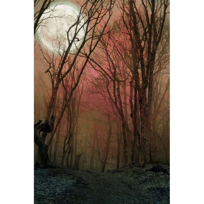 Bermiss Dark Night Forest - Photographie sur toile tendue, H 48 po x l 32 po