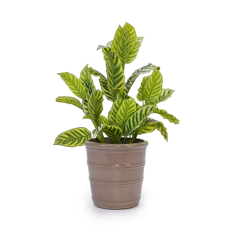 High quality ceramic flowerpot, Antique Yellow