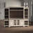 Terreros Audio Rack