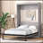 Murphy Bed-2087685815