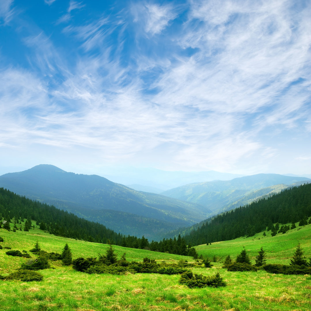 Green Mountain Valley von SergeyIT - Leinwandbild