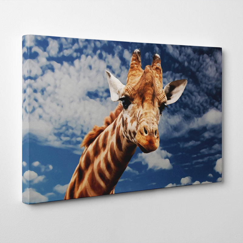 Wrapped Canvas Print, 40cm H x 60cm W