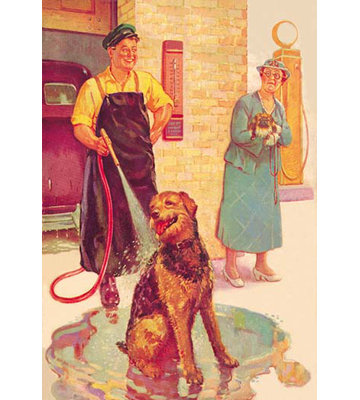 " Dog Wash "