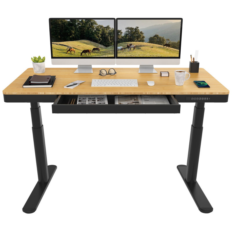 Landaverde 55"x28" Dual Motors Height Adjustable Standing Desk Wireless Charging with Drawer, Black, Bamboo