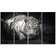 DesignArt White Tiger Animal 4 Piece Photographic Print on Wrapped ...