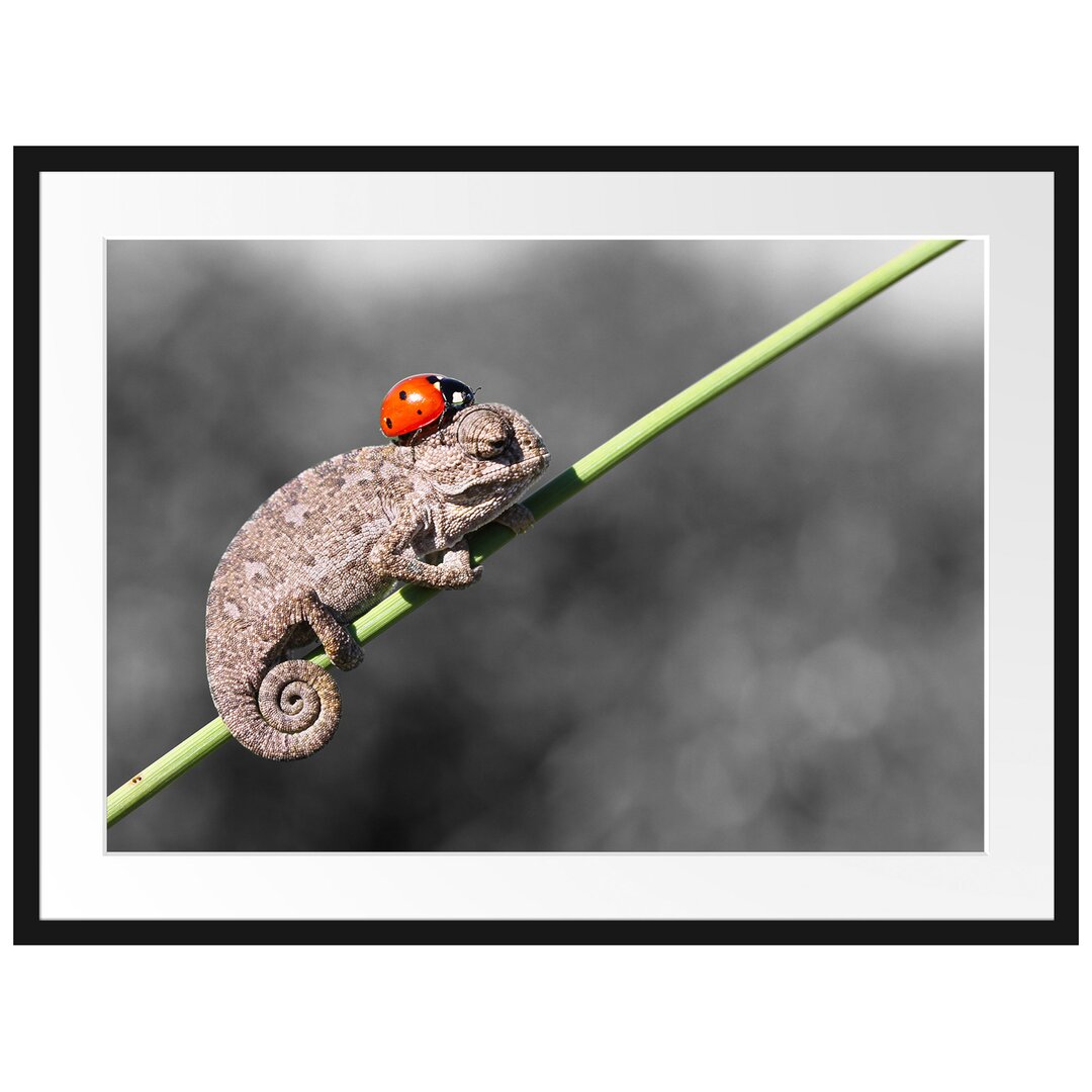 Gerahmtes Poster Süßer Gecko mit einem Marienkäfer