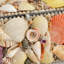 Shell Decorative Box