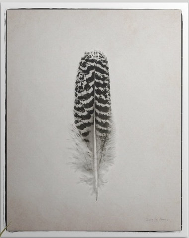 « plumes i noir et blanc » par marie van swearingen, impression, H 30 po x l 24 po x P 1,5 po, Toile