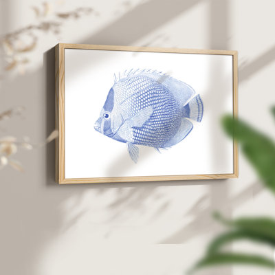 Poisson tropical bleu et blanc VI - reproduction encadrée