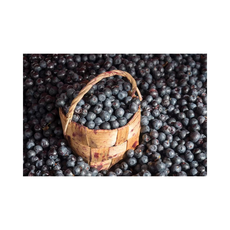 Blueberries at Market for Sale, Helsinki, Finland 1 Piece Wrapped Canvas Wall Art, 30.48 cm H x 45.72 cm W