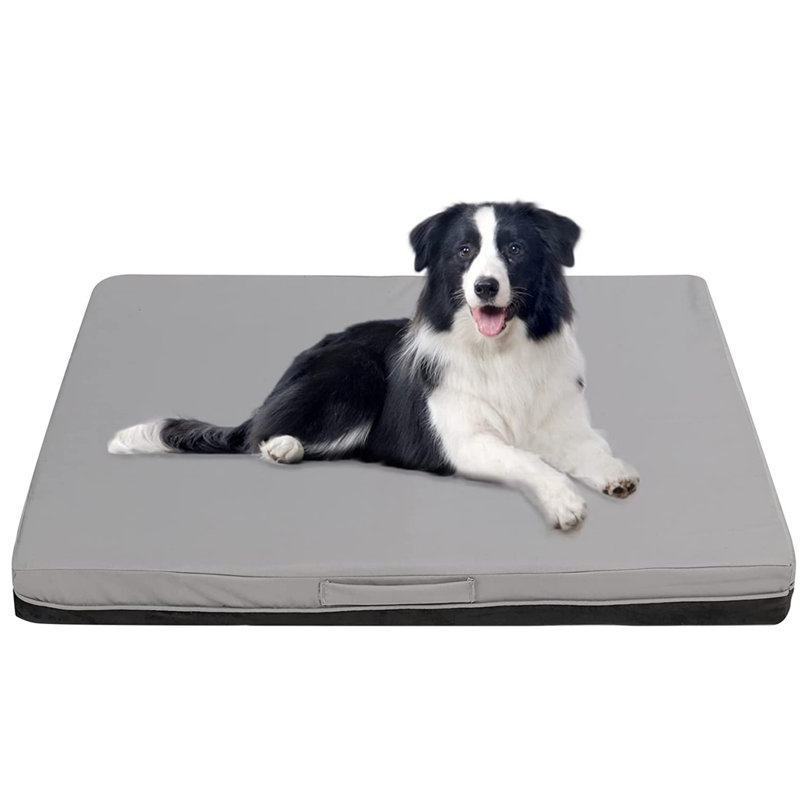 Cutaia Orthopedic Polyester Pet Bed, Large (44.1" W x 32.3" D x 4" H)