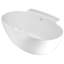 Guthrie 58'' L Soaking Bathtub-50879096