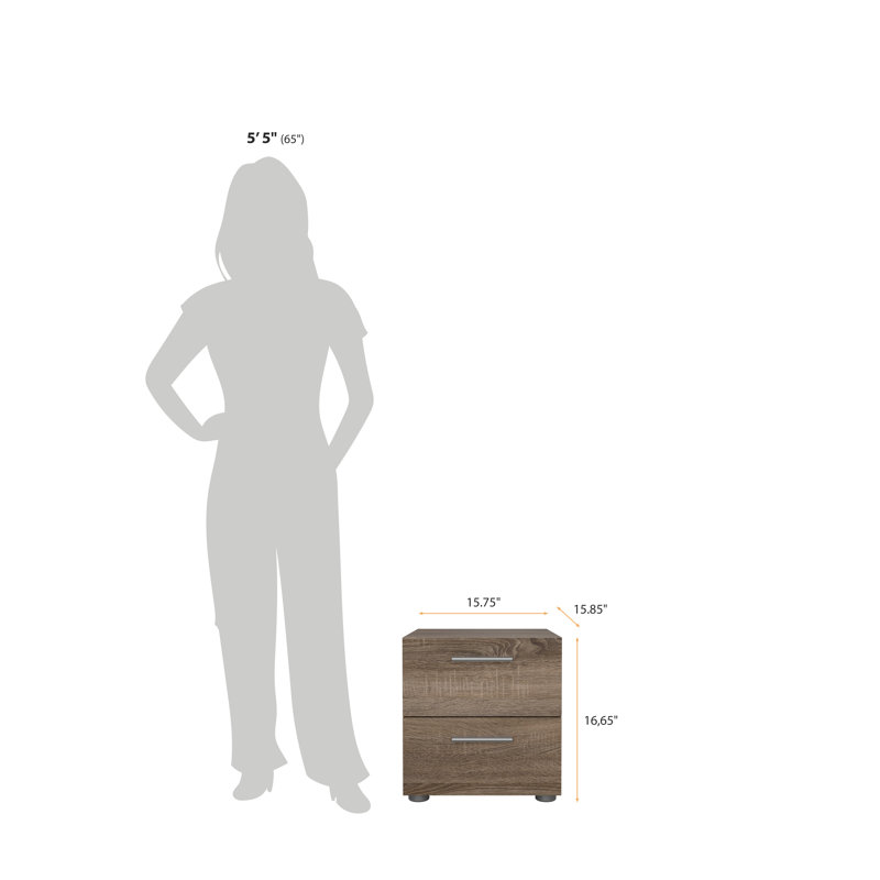 Gianna 15.75'' W Nightstand, Truffle