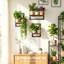 Plant Stand - Set of 3
