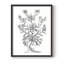 «B&W Plant Speciment VI», reproduction encadrée - bois massif-1554222115-1554222116