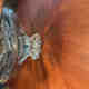 Customer photo 3 of 3