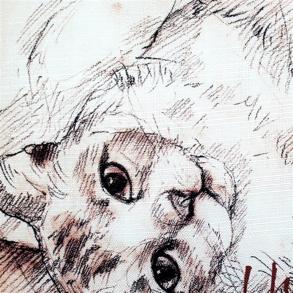 Coussin intérieur / extérieur I Have Known Love Cat