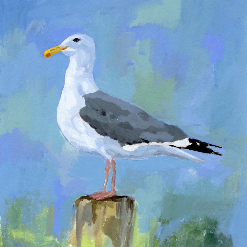 «Ethanmichael Salty Gull II» sur toile par Victoria Barnes, H 12 po x l 12 po