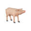 Pig Sculpture, Standing, Gel Coat