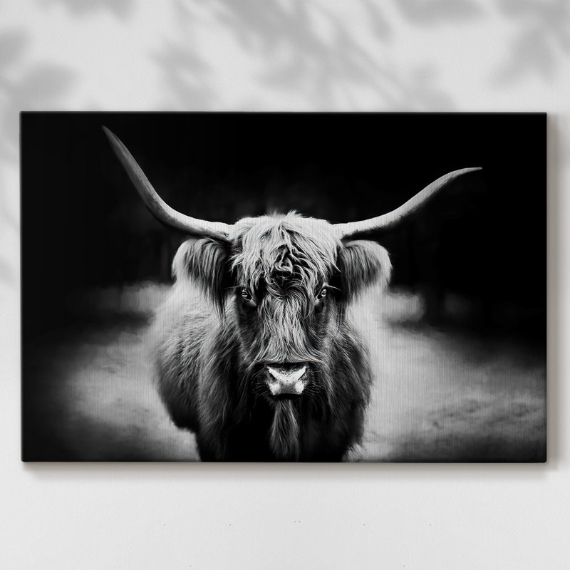 Photography Study Highland Cattle-Gallery Wrapped Canvas, 12" H x 18" W