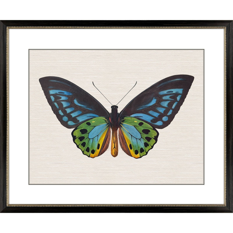 Garden Visitor I Framed Art