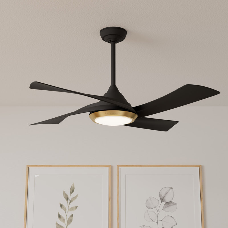 Vespucci 52'' Ceiling Fan with LED Lights, Matte Black