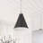Bonchea 1-Light Black Classic Dimmable Pendant Light