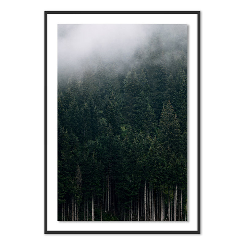 «Rolling in 1» par Michael Schauer - reproduction de photo encadrée, Noir, H 60 po x l 42 po x P 2,5 po