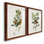 Oiseau antique, botanique et œuf I - ensemble de 2 reproductions d'art sur papier encadré-1329192738-1329192761