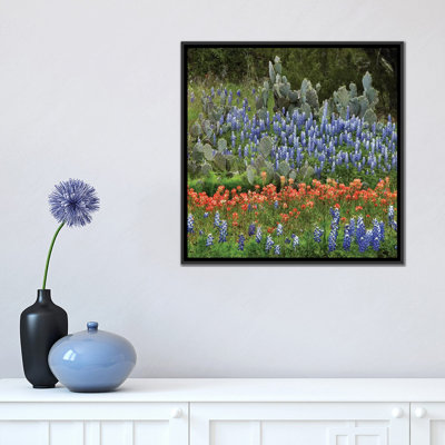 «Bluebonnet, Paintbrush Cactus, Texas and Pricky Pear», impression sur toile