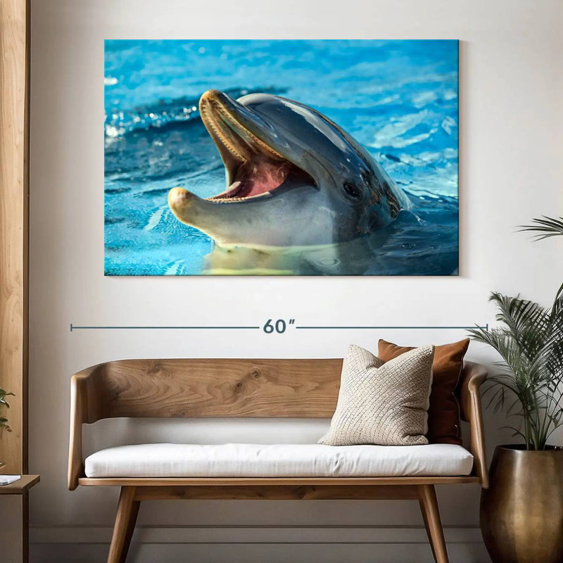 Smiling Playful Dolphin, 34" H x 51" W