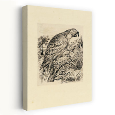 Illustration de perroquet abstrait, palmier, paysage tropical