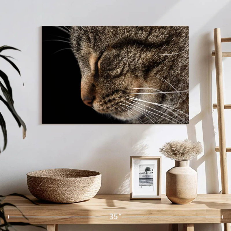 Brampt Sleeping Tabby Cat, 24" H x 36" W
