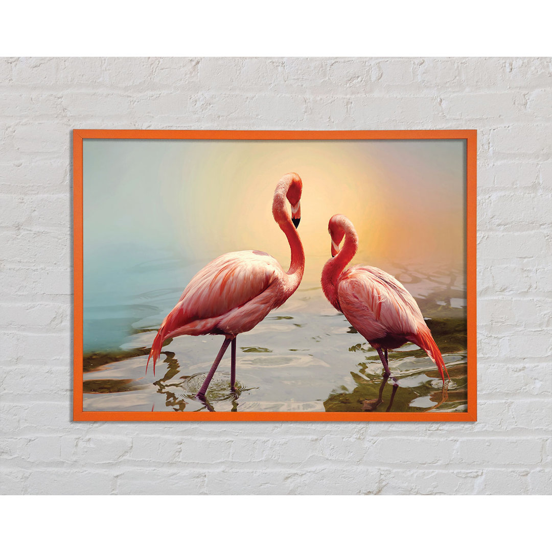 Flamingo Sunset - Einzelner Bilderrahmen Kunstdrucke