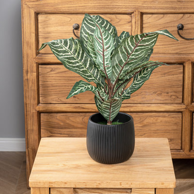 Plante artificielle d'intérieur en pot zèbre artificielle