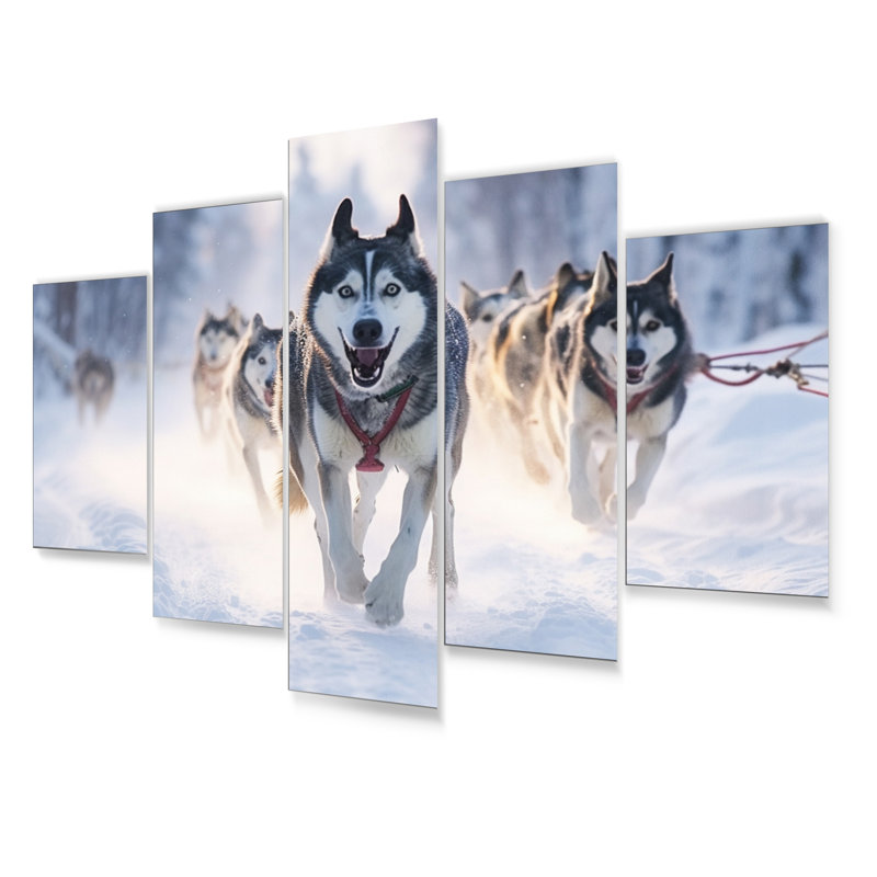 Alaska Dog Sledding II U.S. States & Territories Wall Decor
