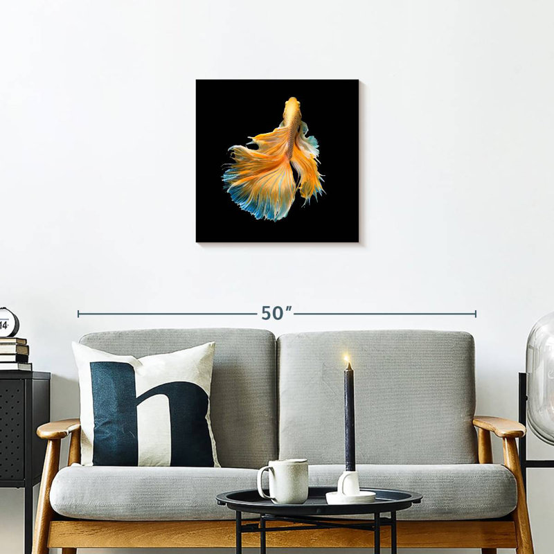 Brampt Yellow Fighter Fish Grandiose