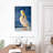 Brampt Shy Pelican-108479425